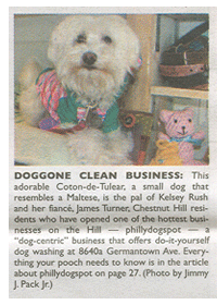 Click Here to Read Our Article in the Chestnut Hill Local!